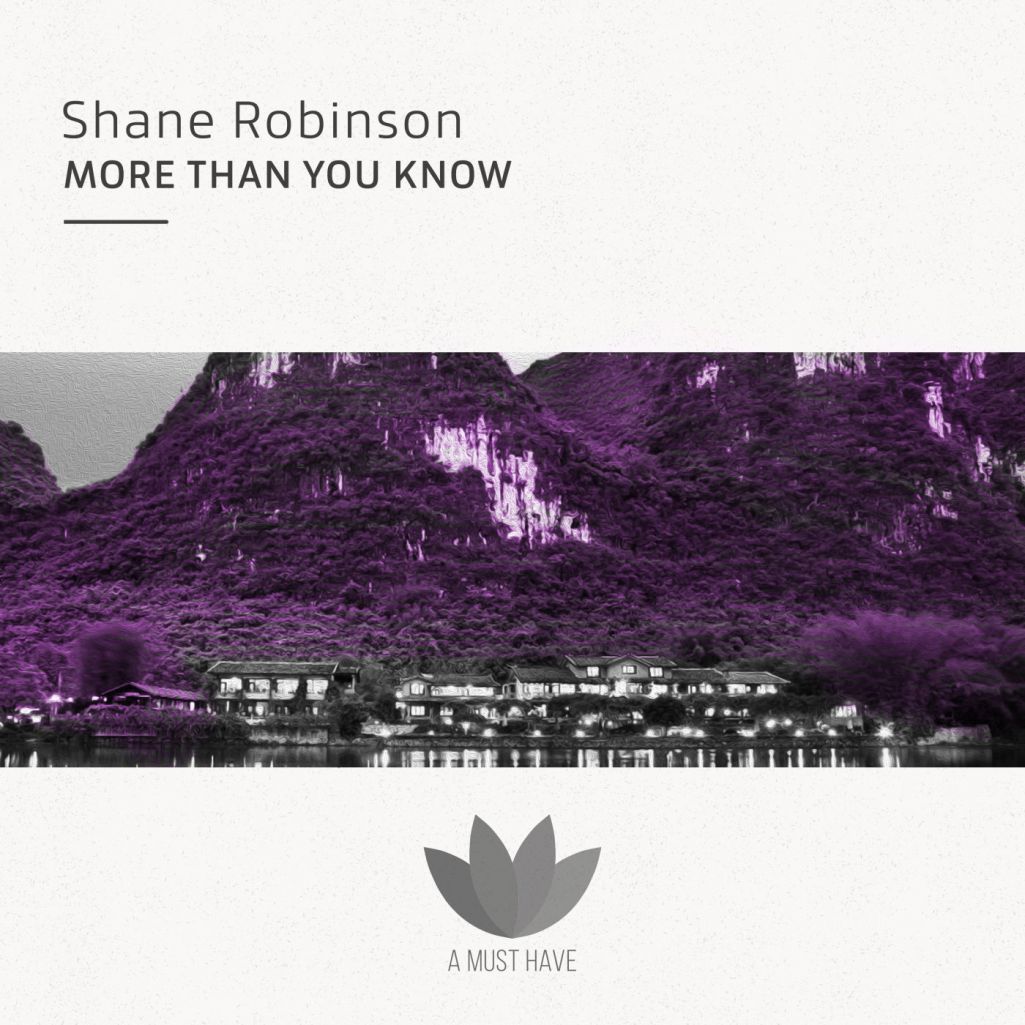 Shane Robinson - More Than You [AMH260]